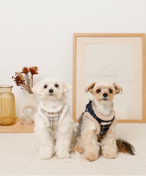 チェック柄ボアハーネス+リードSET（リード/ハーネス/首輪）｜moncheri（モンシェリ）