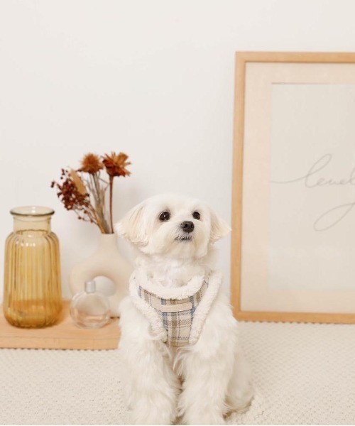 チェック柄ボアハーネス+リードSET（リード/ハーネス/首輪）｜moncheri（モンシェリ）