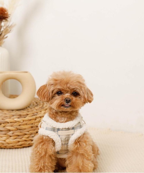 チェック柄ボアハーネス+リードSET（リード/ハーネス/首輪）｜moncheri（モンシェリ）