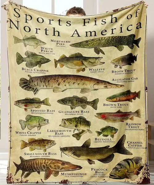 3-1A7 ブランケット 魚柄 110cm×150cm ベージュ（ブランケット）｜CALIFORNIA OUTFITTERS（カリフォルニア アウトフィッターズ）