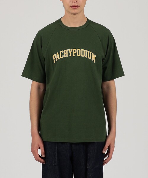 TOMORROWLAND HOME(トゥモローランドホーム)の「KEIMEN ×TOMORROWLAND HOME MONSTERA Tシャツ(Tシャツ/カットソー・レディース・カーキ/ホワイト系その他・XL/M)」の3枚目の写真