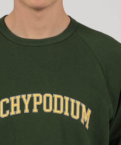 TOMORROWLAND HOME(トゥモローランドホーム)の「KEIMEN ×TOMORROWLAND HOME MONSTERA Tシャツ(Tシャツ/カットソー・レディース・カーキ/ホワイト系その他・XL/M)」の6枚目の写真