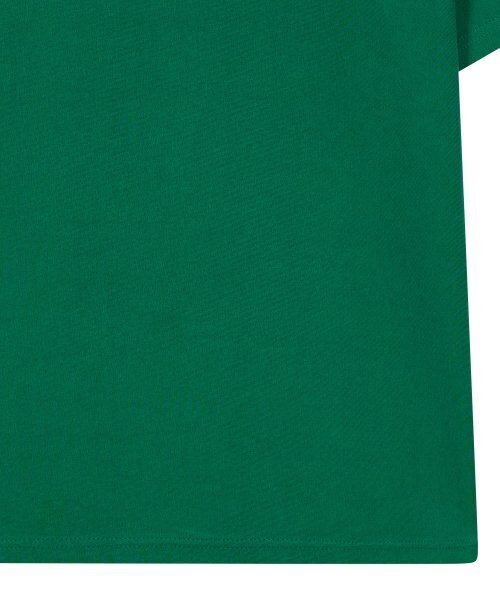 UNION BALANT(ユニオンバランテ)の「ストーリーカウンティ Tシャツ グリーン(Tシャツ/カットソー・メンズ・その他・M/L/XL)」の7枚目の写真