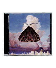 bonjour records（ボンジュールレコーズ）の「CHAIRLIFT / MOTH（CD）」