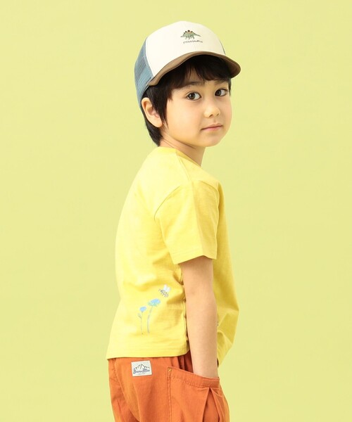 BEAMS mini（ビームスミニ）の「BEAMS mini / メッシュ ポケット 昆虫 Tシャツ 23（90～130cm）（Tシャツ/カットソー・キッズ・オフホワイト/ライトグレー/イエロー・100/110/120/130/90）」の14枚目の写真