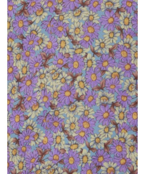 EVRIS（エヴリス）の「フラワーキャミミニワンピース（ワンピース・レディース・ブラック/ブルー・FREE）」の6枚目の写真