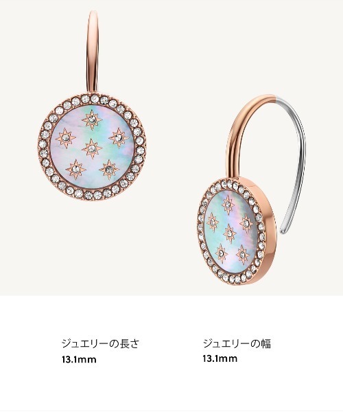 FOSSIL(フォッシル)の「フォッシル アクセサリー レディース ピアス ローズゴールド JF04938791(ピアス(両耳用)・レディース・ピンクゴールド・FREE)」の10枚目の写真