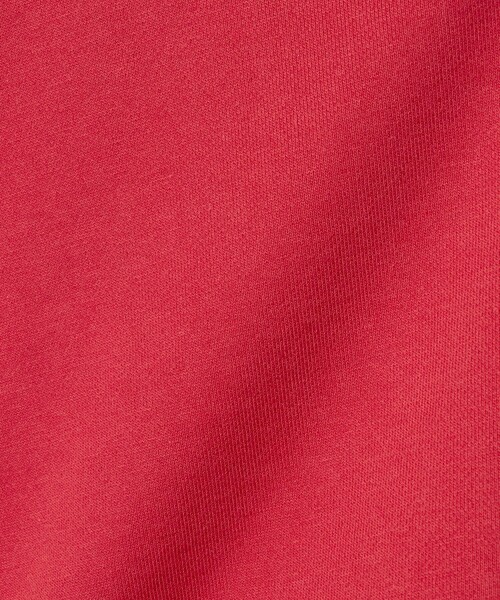 AMERICANA(アメリカーナ)の「【別注】<Americana>スウェット ジップ パーカー(パーカー・レディース・レッド/グレー系・FREE)」の5枚目の写真