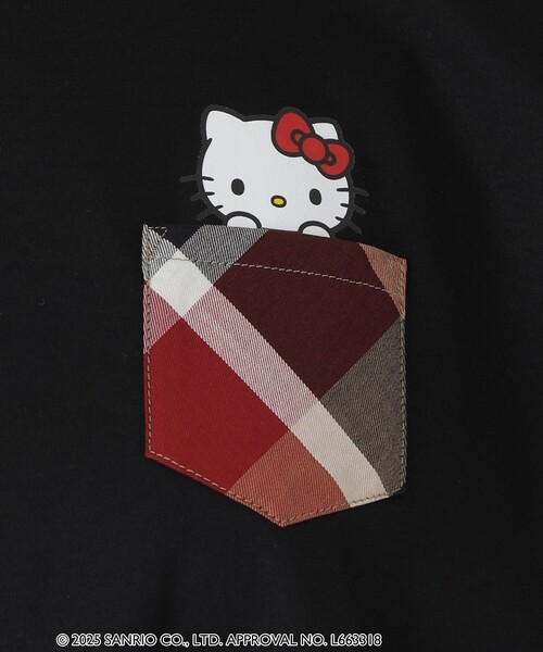 BLUE LABEL CRESTBRIDGE(ブルーレーベルクレストブリッジ)の「【ハローキティコラボ】ポケットTシャツ(Tシャツ/カットソー・レディース・ホワイト/ブラック・38)」の12枚目の写真
