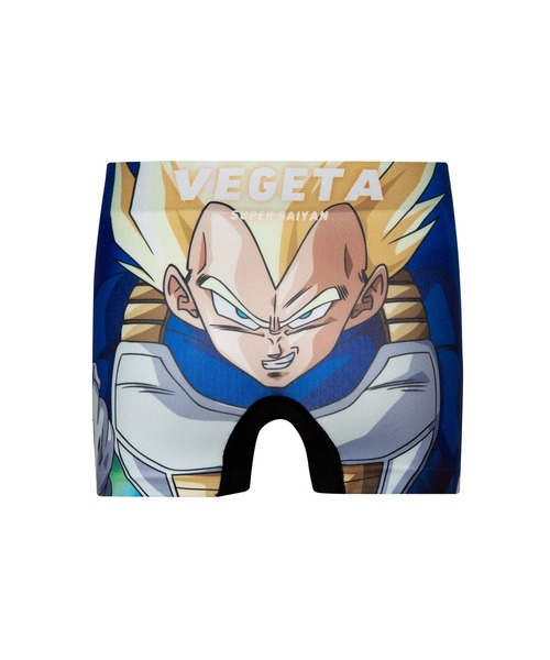 DRAGON BALL Z/ドラゴンボールZ アンダーパンツ キッズ ポリエステル