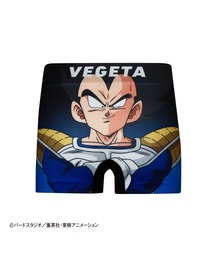 HIPSHOP（ヒップショップ）の「DRAGON BALL Z/ドラゴンボールZ アンダーパンツ　キッズ　ポリエステルタイプ ボクサーパンツ（ボクサーパンツ）」