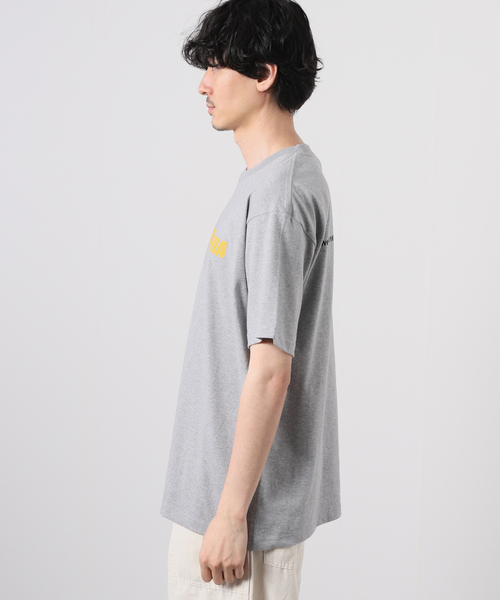 JOURNAL STANDARD(ジャーナルスタンダード)の「【TSUNOKAWAFARM×JS】CURRY FORNIA TEE(Tシャツ/カットソー・メンズ・グレー/ホワイト・X-LARGE/MEDIUM/LARGE)」の5枚目の写真