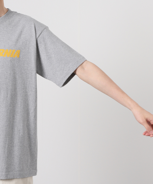 JOURNAL STANDARD(ジャーナルスタンダード)の「【TSUNOKAWAFARM×JS】CURRY FORNIA TEE(Tシャツ/カットソー・メンズ・グレー/ホワイト・X-LARGE/MEDIUM/LARGE)」の9枚目の写真