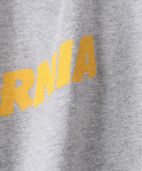 JOURNAL STANDARD(ジャーナルスタンダード)の「【TSUNOKAWAFARM×JS】CURRY FORNIA TEE(Tシャツ/カットソー・メンズ・グレー/ホワイト・X-LARGE/MEDIUM/LARGE)」の18枚目の写真
