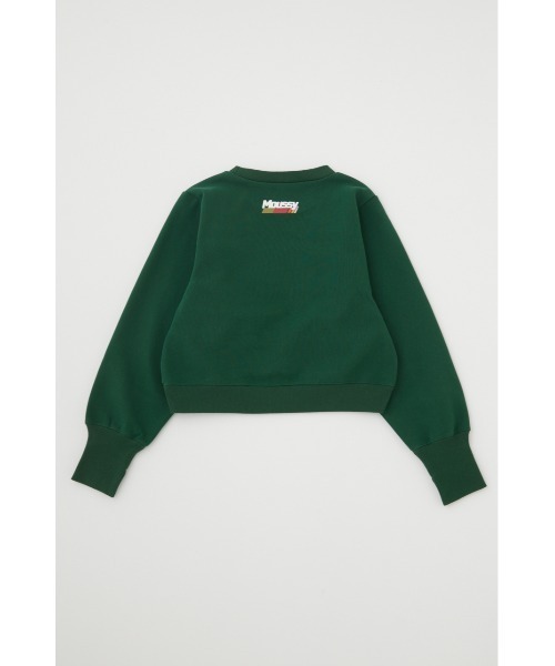 MOUSSY(マウジー)の「90S MOUSSY CROPPED プルオーバー(スウェット・レディース・グリーン/ブラック/杢グレー/オフホワイト・FREE)」の19枚目の写真