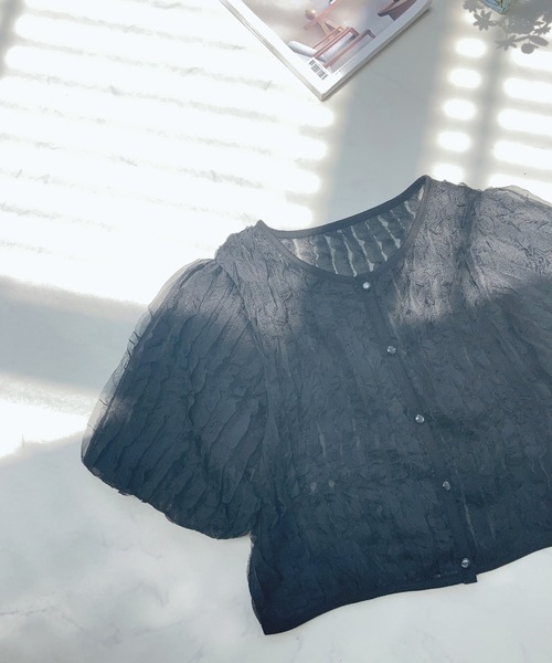 AS KNOW AS plus（アズノゥアズプラス）の「〇シアーフリル5分袖ブラウス（シャツ/ブラウス・レディース・アイボリー/ブラック/サックスブルー・FREE）」の21枚目の写真