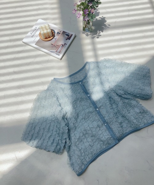 AS KNOW AS plus（アズノゥアズプラス）の「〇シアーフリル5分袖ブラウス（シャツ/ブラウス・レディース・アイボリー/ブラック/サックスブルー・FREE）」の7枚目の写真