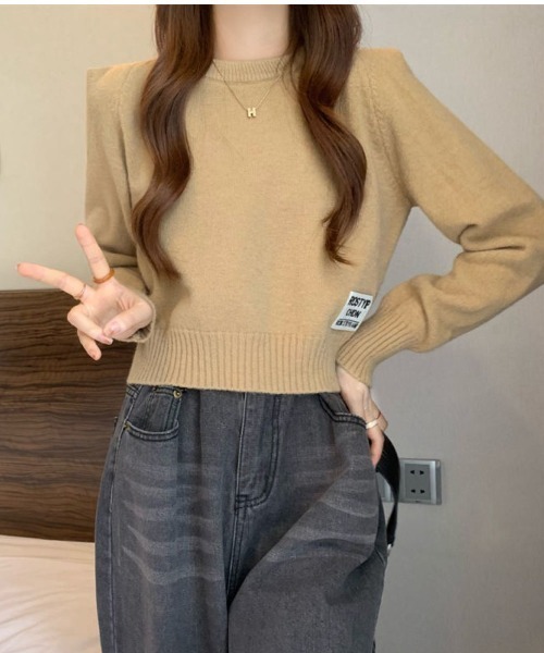 LETee（レティー）の「ワンポイントニットトップス（ニット/セーター・レディース・モカ/ホワイト/ブラック・FREE）」の9枚目の写真