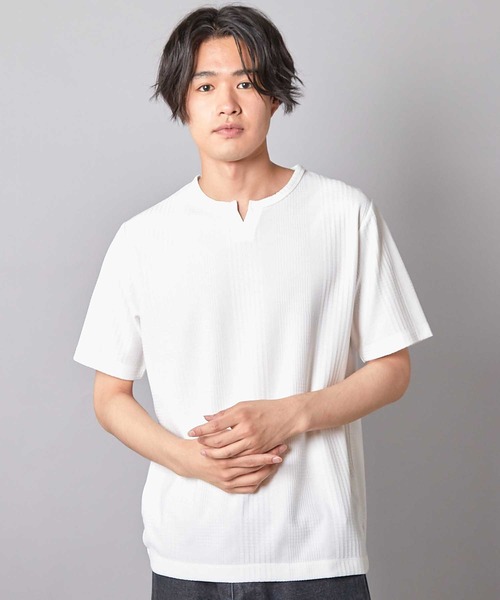 リンクスジャガード キーネックTシャツ（Tシャツ/カットソー