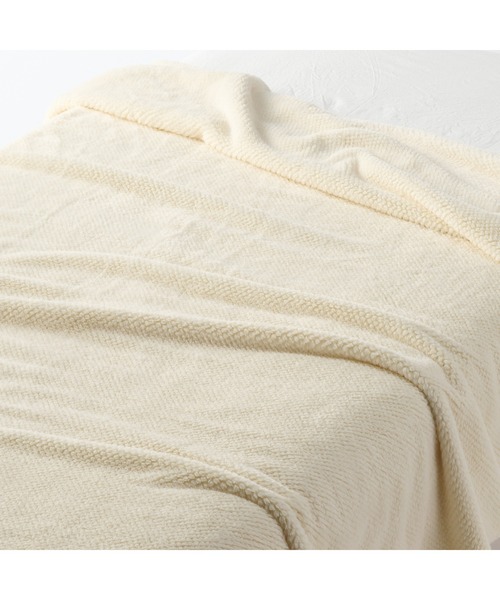 Ǖi(WVEq)̍Đ|GXe@t@Co[ѕzEr@PSO×QOO(Q)