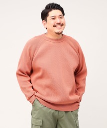 ふわかる クルーネック ニット B&T CLUB 大きいサイズ セーター トップス ビックサイズ
