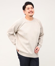 ふわかる クルーネック ニット B&T CLUB 大きいサイズ セーター トップス ビックサイズ