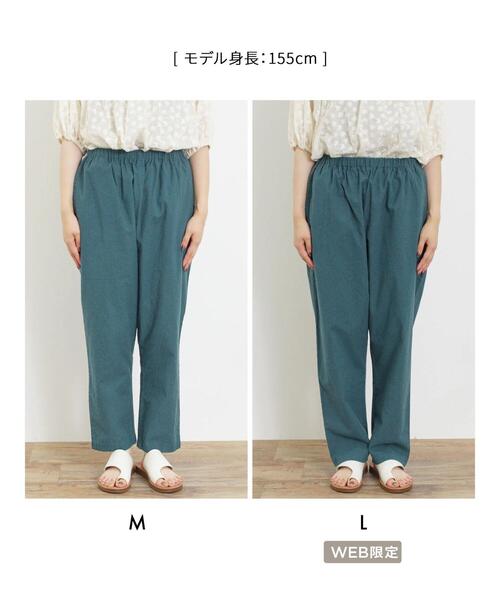セール】【Lサイズ WEB限定】【クールコットン】柄アソート