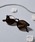 DOUBLE STEALi_uXeB[j́uTOX(TCo[V[hEV[hEEFgE{XgjiKljvbuEn1