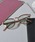 MODISH GAZE�i���f�B�V���K�[�j�́u�T���O���X(�T�C�o�[�V�[���h�E�V�[���h�E�E�F�����g���E�{�X�g���j�i���K�l�j�v�b�u���E���n���̑�4