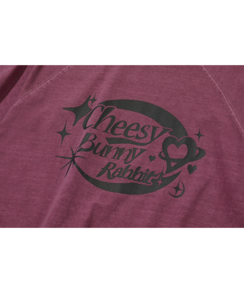 CPGN STUDIO(コンパーニョ)の「チーズバニー レグラン ピグメント 半袖Tシャツ ダスティピンク(Tシャツ/カットソー・レディース・その他・MEDIUM/LARGE)」の5枚目の写真