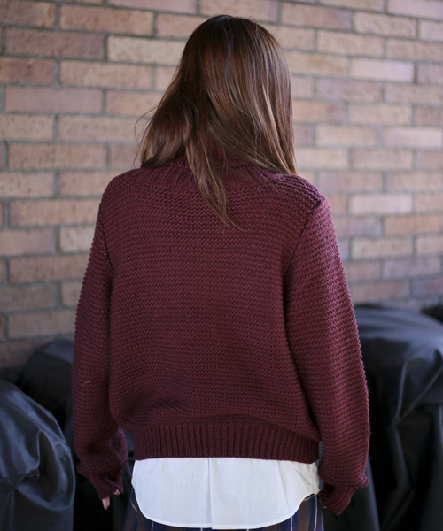 Denime(ドゥニーム)の「シャツ付きタートルニット(ニット/セーター・レディース・ブラウン/グレー/ワイン・FREE)」の17枚目の写真