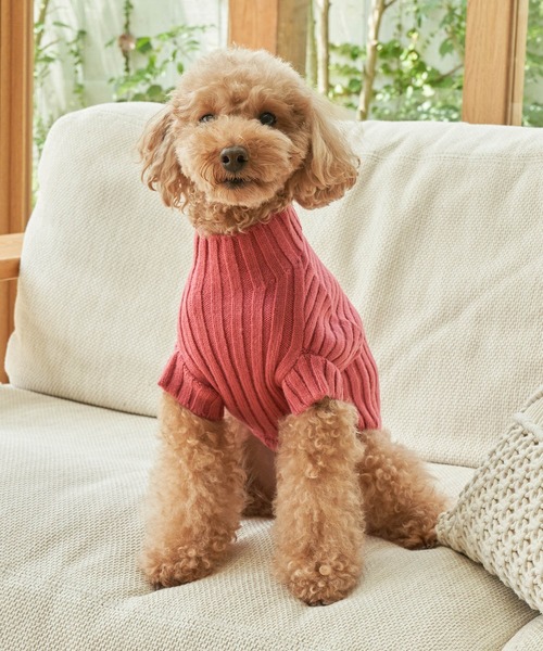 ROPE' PICNIC（ロペピクニック）の「【DOG】【リンクコーデ】リブ切替ニットプルオーバー（ペットウェア・レディース・カーキ/ピンク系その他/ラベンダー/キナリ・2M/M/L/S）」の4枚目の写真