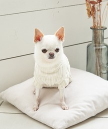 ROPE' PICNIC（ロペピクニック）の「【DOG】【リンクコーデ】リブ切替ニットプルオーバー（ペットウェア）」