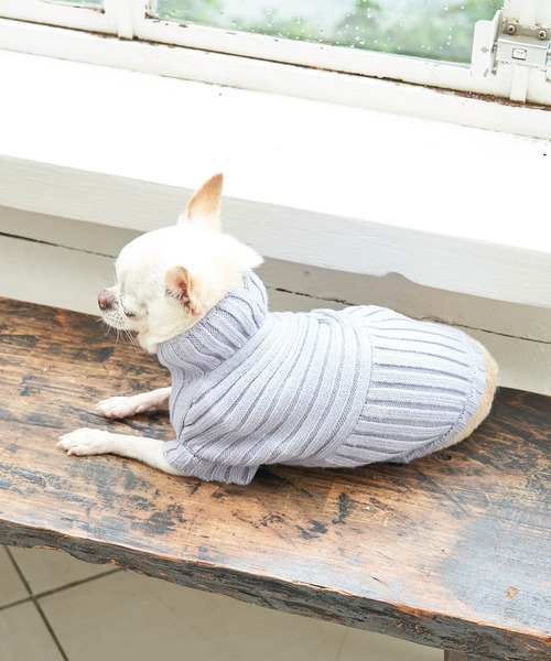 ROPE' PICNIC（ロペピクニック）の「【DOG】【リンクコーデ】リブ切替ニットプルオーバー（ペットウェア・レディース・カーキ/ピンク系その他/ラベンダー/キナリ・2M/M/L/S）」の16枚目の写真