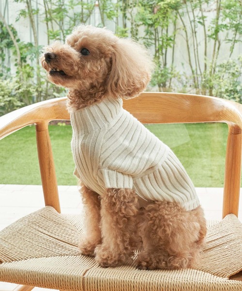 ROPE' PICNIC（ロペピクニック）の「【DOG】【リンクコーデ】リブ切替ニットプルオーバー（ペットウェア・レディース・カーキ/ピンク系その他/ラベンダー/キナリ・2M/M/L/S）」の20枚目の写真