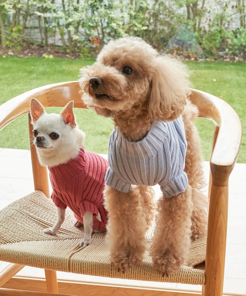 ROPE' PICNIC（ロペピクニック）の「【DOG】【リンクコーデ】リブ切替ニットプルオーバー（ペットウェア・レディース・カーキ/ピンク系その他/ラベンダー/キナリ・2M/M/L/S）」の22枚目の写真