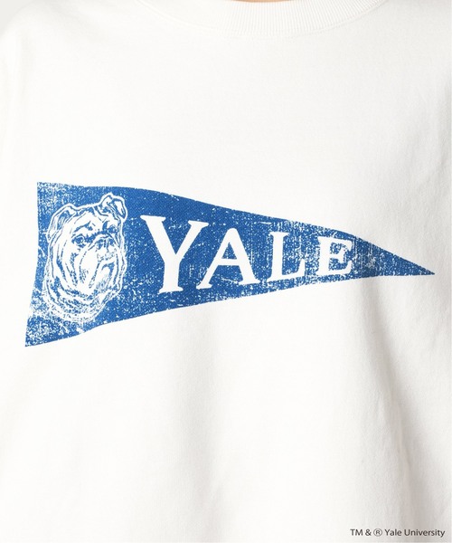 FRAMeWORK（フレームワーク）の「≪追加≫YALE/BIG-TEEスウェット2（Tシャツ/カットソー・レディース・ホワイト/ネイビー・FREE）」の15枚目の写真