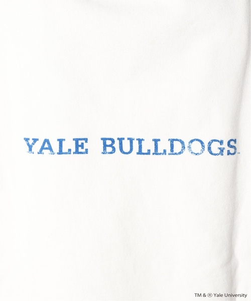 FRAMeWORK（フレームワーク）の「≪追加≫YALE/BIG-TEEスウェット2（Tシャツ/カットソー・レディース・ホワイト/ネイビー・FREE）」の14枚目の写真