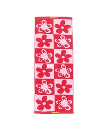 Casselini(LZ[j)Casselini HOME(LZ[j z[)t[WK[h^I(^I)