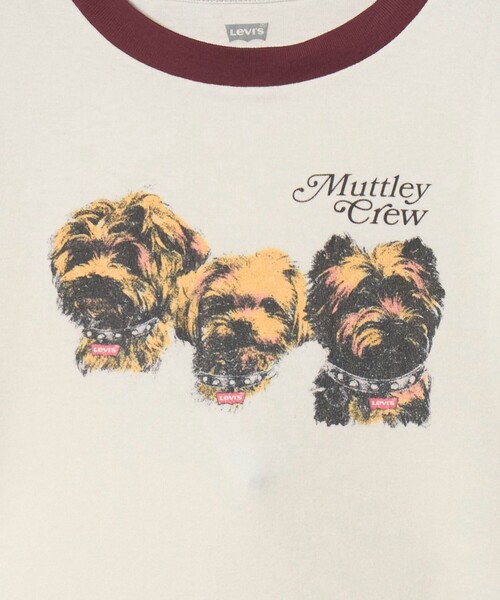 Levi's（リーバイス）の「【国内EXCLUSIVE】＜Levi's＞SPORTY Tシャツ（Tシャツ/カットソー・レディース・オフホワイト・M）」の13枚目の写真