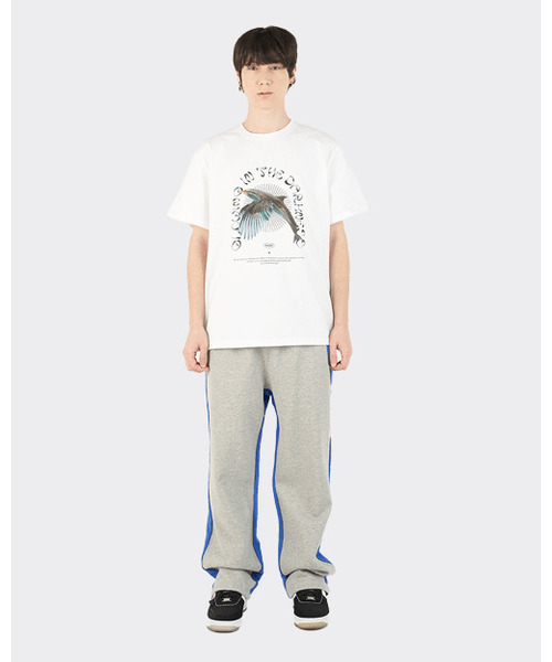 AOX(エーオーエックス)の「Glowing Birphin Short Sleeve T-shirts (White)(Tシャツ/カットソー・メンズ・ホワイト・S/M/XL)」の2枚目の写真