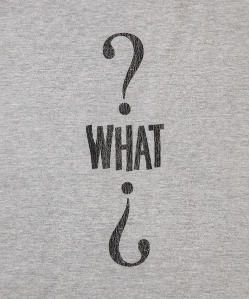 ESSAY(エッセイ)の「【 YuumiARIA × ESSAY 】GRAY WHAT Tシャツ(Tシャツ/カットソー・レディース・グレー・FREE)」の16枚目の写真