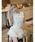 Darich�i�_�[���b�`�j�́u�R���p�N�g�`���[�����[�X�g�b�v�X�i�x�X�g�j�v�b�A�C�{���[