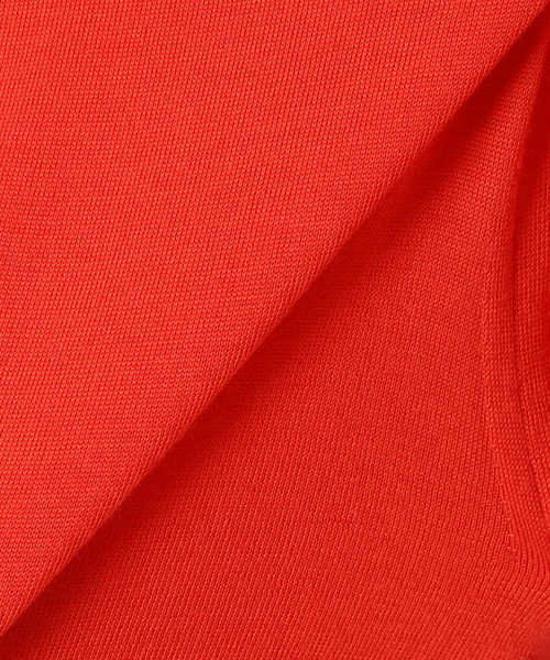 Spick & Span(スピックアンドスパン)の「《手洗い可能》18G Vネックニット(ニット/セーター・レディース・ブラウン系その他/レッド/ネイビー・FREE)」の11枚目の写真