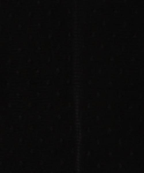 Another Edition(アナザーエディション)の「ドットハイネックブラウス2/AEMFC DOTチュール H/N BLⅡ◆(シャツ/ブラウス・レディース・オフホワイト/ブラック・FREE)」の6枚目の写真