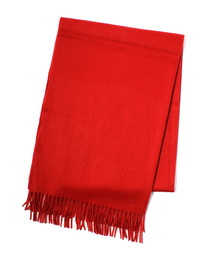 UNITED ARROWS | BEGG W/ANG SLD 65*180(マフラー)