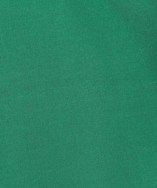 PAGEBOY（ページボーイ）の「Vネックカーデベスト（ベスト・レディース・ブラック/オフホワイト/グリーン・FREE）」の21枚目の写真