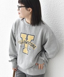 【WEB限定】SHIPS any: NATIONAL PARK プリント スウェット 23AW◇