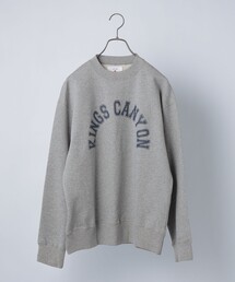 【WEB限定】SHIPS any: NATIONAL PARK プリント スウェット 23AW◇