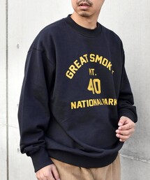 【WEB限定】SHIPS any: NATIONAL PARK プリント スウェット 23AW◇